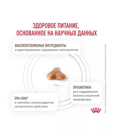 ROYAL CANIN Cat food dry GastroinTestinal Fiber Response 0.35kg - Buy Online on GoSupps.com