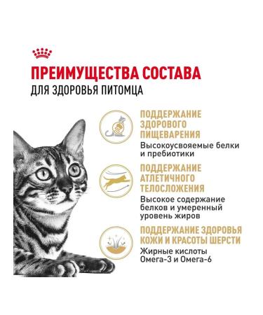 ROYAL CANIN Dry Bengal food for cats Bengal 0.4 kg 4 pcs - Buy Online on GoSupps.com