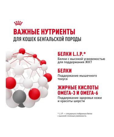 ROYAL CANIN Dry Bengal food for cats Bengal 0.4 kg 4 pcs - Buy Online on GoSupps.com