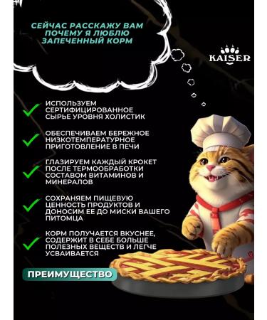 KAISER Dry food for cats with salmon and boorish 1.5 kg - Buy Online on GoSupps.com