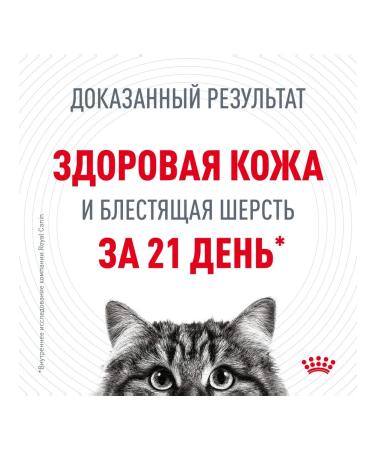 ROYAL CANIN Wet feed Hair & Skin Care for cats in sauce 85 g 10 pcs - Buy Online on GoSupps.com