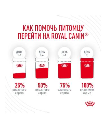 ROYAL CANIN Wet feed Hair & Skin Care for cats in sauce 85 g 10 pcs - Buy Online on GoSupps.com