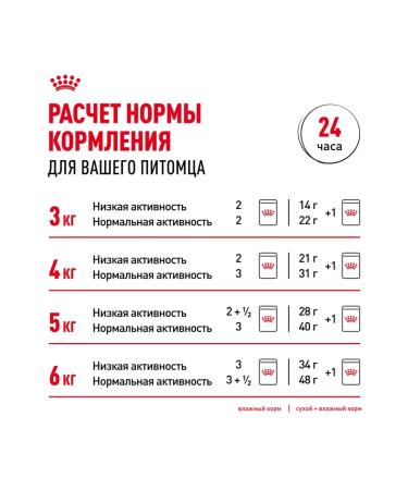 ROYAL CANIN Wet digest car for cats in sauce 85 g 5 pcs - Buy Online on GoSupps.com