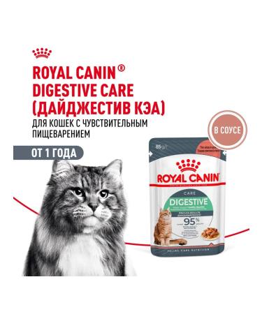 ROYAL CANIN Wet digest car for cats in sauce 85 g 5 pcs - Buy Online on GoSupps.com