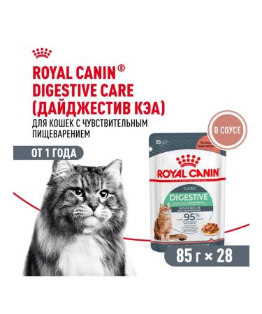 ROYAL CANIN Wet digest car for cats in sauce 85 g 5 pcs - Buy Online on GoSupps.com