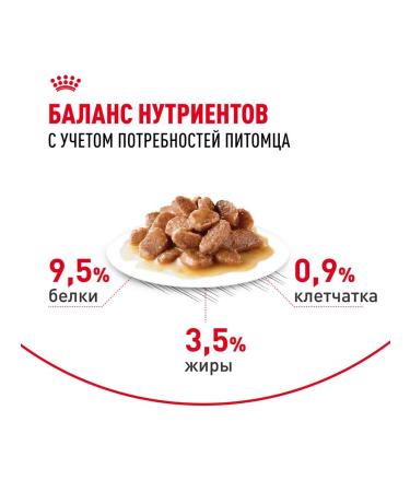 ROYAL CANIN Wet digest car for cats in sauce 85 g 5 pcs - Buy Online on GoSupps.com