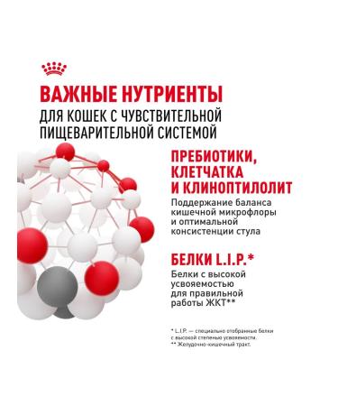 ROYAL CANIN Wet digest car for cats in sauce 85 g 5 pcs - Buy Online on GoSupps.com