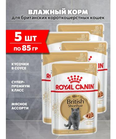ROYAL CANIN Wet feed British shorthair for cats British 85 g 5pcs