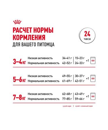 ROYAL CANIN Wet feed British shorthair for cats British 85 g 5pcs - Buy Online on GoSupps.com