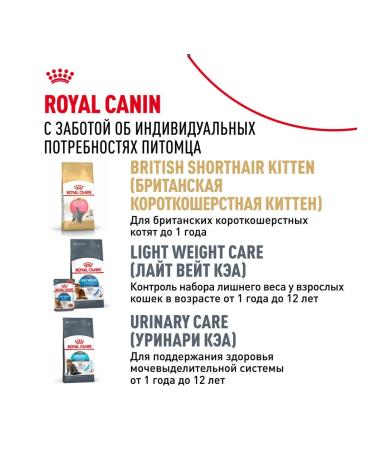 ROYAL CANIN Wet feed British shorthair for cats British 85 g 5pcs - Buy Online on GoSupps.com
