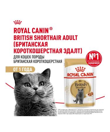 ROYAL CANIN Wet feed British shorthair for cats British 85 g 5pcs - Buy Online on GoSupps.com