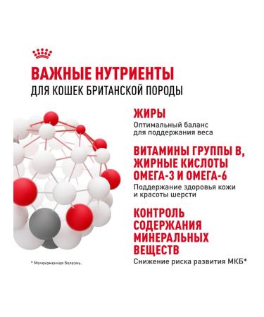 ROYAL CANIN Wet feed British shorthair for cats British 85 g 5pcs - Buy Online on GoSupps.com