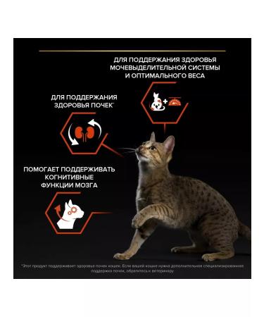 PRO PLAN Dry food for sterilized cats with salmon 3kg - Buy Online on GoSupps.com