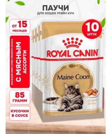 ROYAL CANIN Wet feed Main Coon for cats Maine Kun 85 g 10pcs