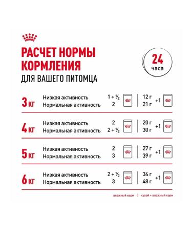 ROYAL CANIN Wet feed Main Coon for cats Maine Kun 85 g 10pcs - Buy Online on GoSupps.com