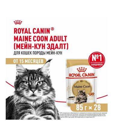 ROYAL CANIN Wet feed Main Coon for cats Maine Kun 85 g 10pcs - Buy Online on GoSupps.com