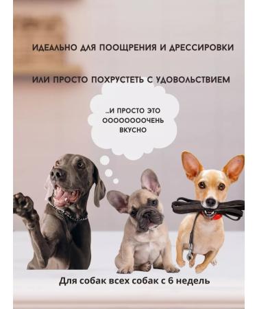 Raw Power Pet Dog treating "Rabbit with carrots" 300g - Buy Online on GoSupps.com