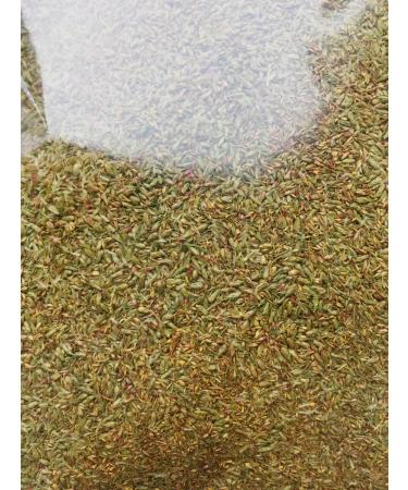 Forest herbs Citvar seed bitter dried 100g - Buy Online on GoSupps.com