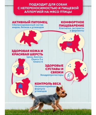 Pet's Brunch Dry food for dogs of miniature rocks with a veal of 1 kg - Buy Online on GoSupps.com