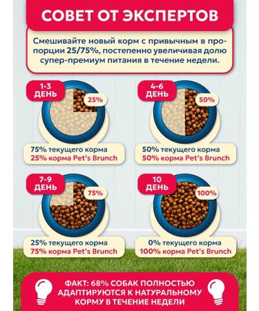 Pet's Brunch Dry food for dogs of miniature rocks with a veal of 1 kg - Buy Online on GoSupps.com