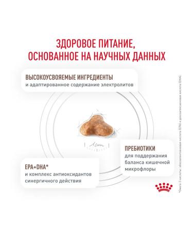 ROYAL CANIN Dry Gastrointestinal Fiber Response cats 0.35kg 2pcs - Buy Online on GoSupps.com
