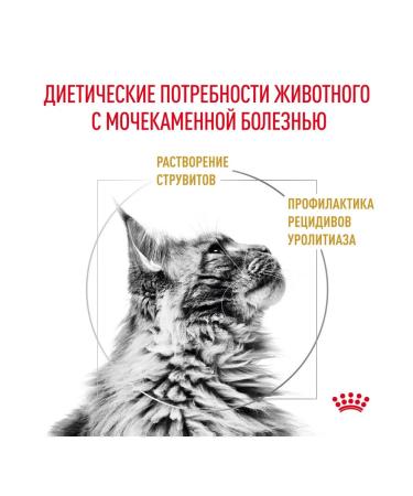 ROYAL CANIN Dry Urinary S o Cat for Cats Urinarians 0.35 kg - Buy Online on GoSupps.com