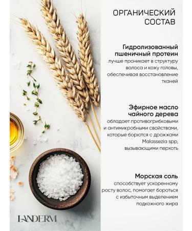 Landerm Shampoo against dandruff Salusfund - Buy Online on GoSupps.com
