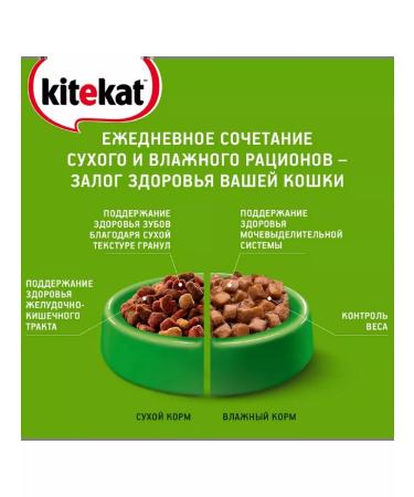 Kitekat Wet food for cats kitiktet chicken in jelly 28*85 grams - Buy Online on GoSupps.com
