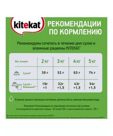 Kitekat Wet food for cats kitiktet chicken in jelly 28*85 grams - Buy Online on GoSupps.com