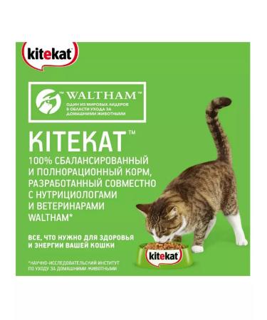 Kitekat Wet food for cats kitiktet chicken in jelly 28*85 grams - Buy Online on GoSupps.com