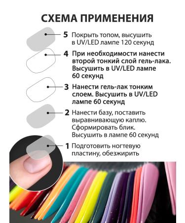 ShockMe The top is super glossy - Buy Online on GoSupps.com