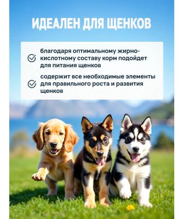 Lofoten Omega Care Dry food for dogs of small and medium rocks - Buy Online on GoSupps.com