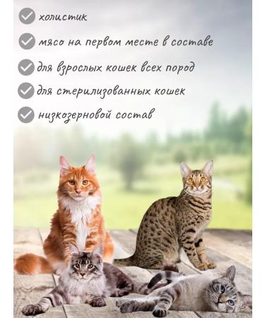 Grandorf Rabbit with a turbine turkey 400g new - Buy Online on GoSupps.com