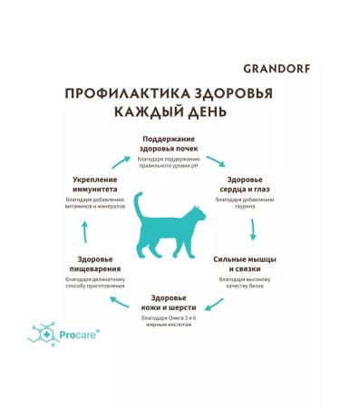 Grandorf Lamb with Indoor turkey for cats 2kg new - Buy Online on GoSupps.com