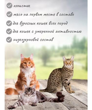 Grandorf Lamb with Indoor turkey for cats 2kg new - Buy Online on GoSupps.com