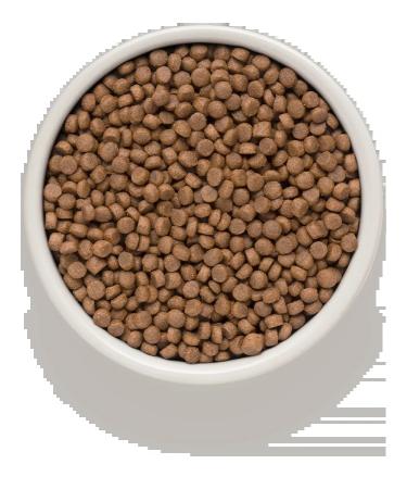 Grandorf 4 types of meat for sterilized cats 2 kg holistic - Buy Online on GoSupps.com