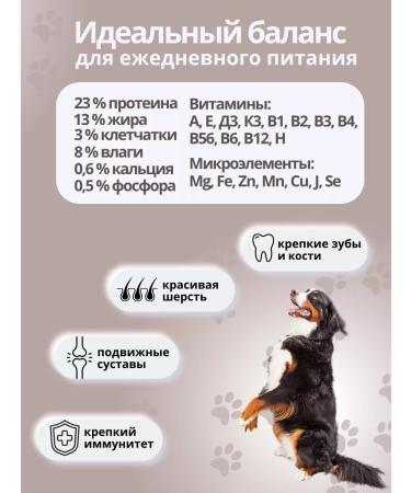 DILLY Dry food for dogs - Buy Online on GoSupps.com