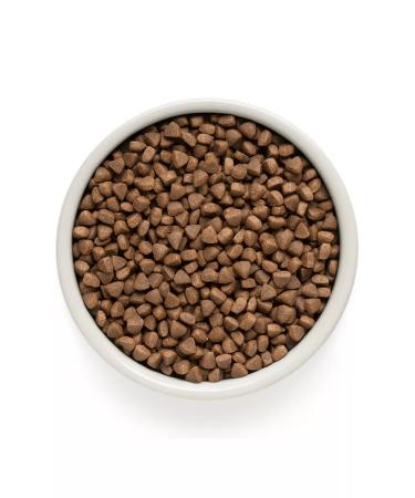 Grandorf Lamb and turkey for home cats 2kg - Buy Online on GoSupps.com