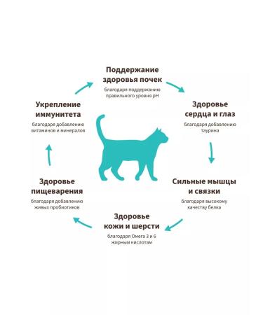 Grandorf Lamb and turkey for home cats 2kg - Buy Online on GoSupps.com