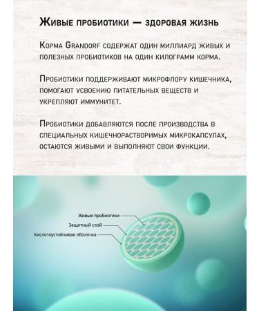 Grandorf 4 Vidid meat for dogs of medium and large rocks 10 kg - Buy Online on GoSupps.com