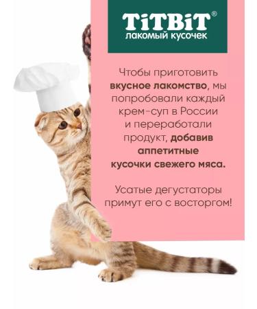 Titbit A set of treats for cats cream-soup with salmon 10g x 48pcs - Buy Online on GoSupps.com