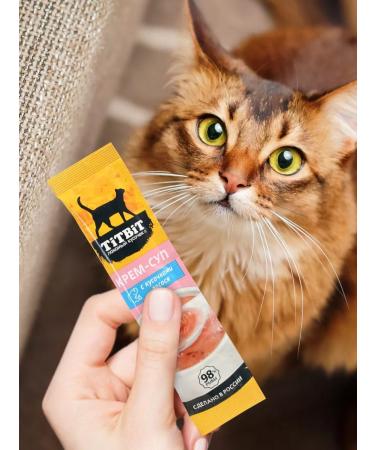 Titbit A set of treats for cats cream-soup with salmon 10g x 48pcs - Buy Online on GoSupps.com