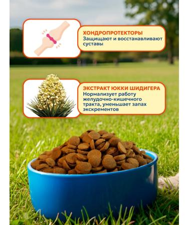 Pet's Brunch Dry food for dogs of medium breeds with chicken 14kg - Buy Online on GoSupps.com