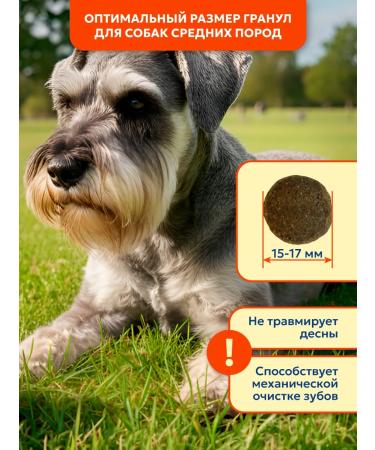 Pet's Brunch Dry food for dogs of medium breeds with chicken 14kg - Buy Online on GoSupps.com