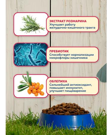 Pet's Brunch Dry food for dogs of small breeds with a veal 11 kg - Buy Online on GoSupps.com