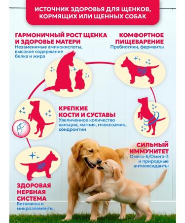 Pet's Brunch Dry food for puppies puppy and nursing dogs with veal - Buy Online on GoSupps.com