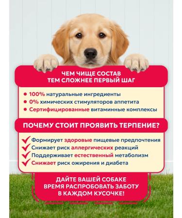 Pet's Brunch Dry food for puppies puppy and nursing dogs with veal - Buy Online on GoSupps.com
