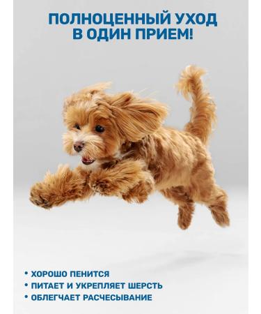 ZOORIK 2-in-1 Shampoo and Conditioner for Dogs and Cats and Tangle Mask 1000+250 - Buy Online on GoSupps.com