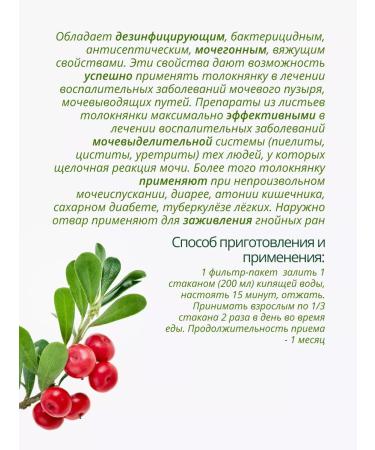 Lecraset Tolknyanka sheet Bear Ushka 20 filter of packets phytochai - Buy Online on GoSupps.com