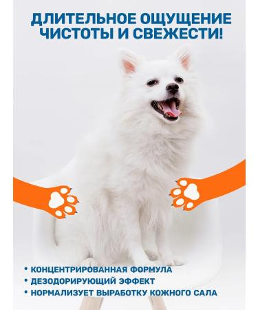 ZOORIK Deep cleaning shampoo and mask for dogs and cats 10 ... - Buy Online on GoSupps.com